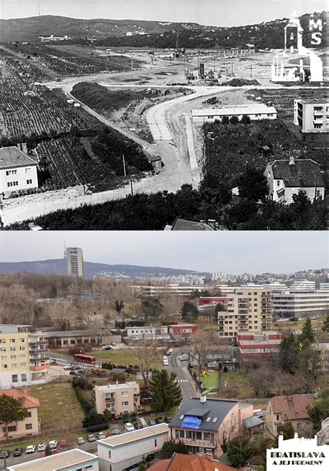 Schéma zmiešanej kultúry v záhone: znázornenie striedania vysokých a nízkych rastlín pre optimálne využitie priestoru
