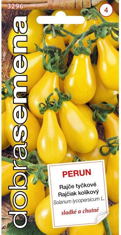 Zrelé žlté hruškovité rajčiaky odrody Perun visiace na kríčku.