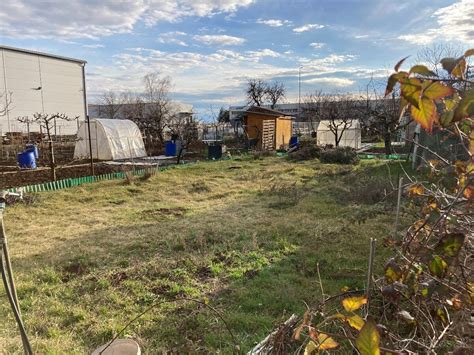 Fotografia komunitného priestoru v záhradkárskej osade s prvkami zelene