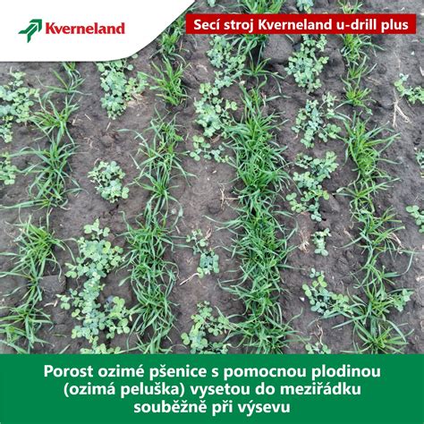 schéma prípravy pôdy a rovnomerného výsevu lúčnych semien s pieskom