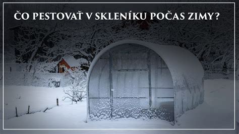 Infografika znázorňujúca frekvenciu zálievky a teplotné nároky azalky počas zimy