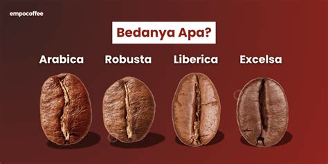 Porovnanie listov a plodov kávovníka Arabika a Robusta