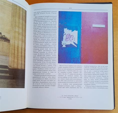 farebná fotografia rôznych jedál dochutených oreganom