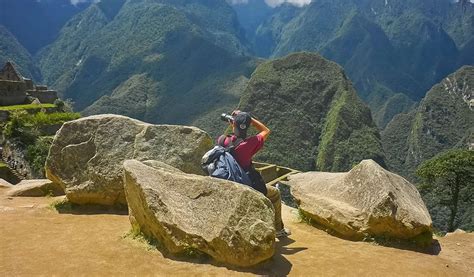 Fotografia herbárovej položky machu