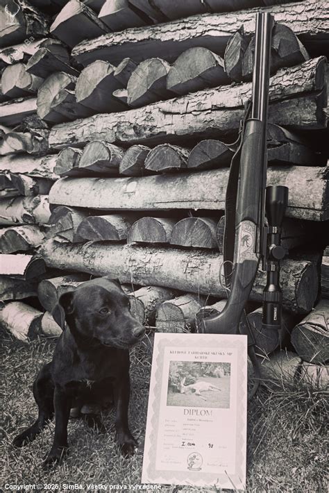 fotografia úspešne zrasteného štepu