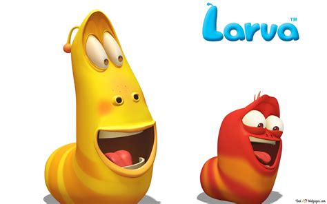 Priadzoček smrekovcový - larva