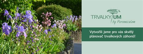 Tematické foto konvaliniek v záhrade