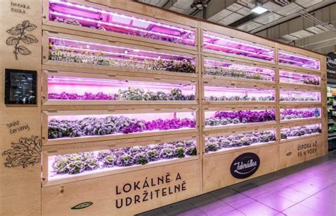 Snímka regálu v záhradkárskom centre s rôznymi baleniami herbicídov Roundup