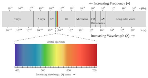 infografika: svetelné spektrum a jeho vplyv na rôzne fázy rastu rastlín (sadenice, vegetácia, kvitnutie)