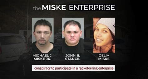 Ilustrácia správneho umiestnenia rastliny Saracénia v miske s vodou.