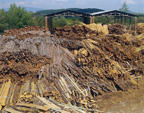 Skladová zásoba rôznych druhov drevnej štiepky pripravená na distribúciu v big-bagoch a vreciach