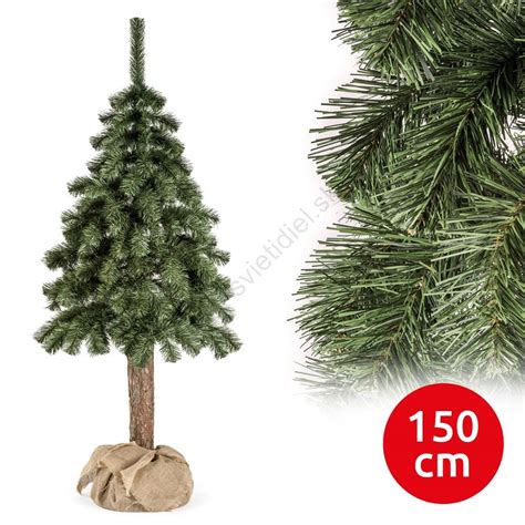 detailný pohľad na mladý stromček s drevenou oporou, pripravený na zasadenie