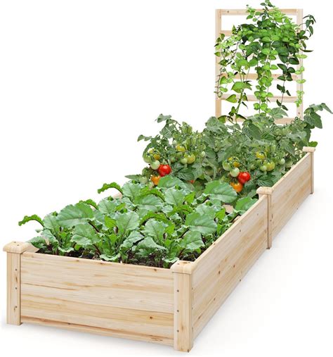 Inštruktážna schéma hlbokej výsadby paradajky s oporou