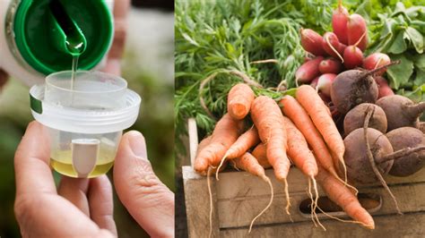 Ilustrácia znázorňujúca zloženie moču ako hnojiva