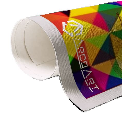 Schematické znázornenie stavby tela lúčovito súmerného živočícha.