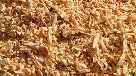 tematické foto: rozrezaná slama alebo piliny pripravené na pestovanie