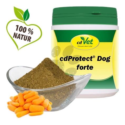 infografika znázorňujúca bezpečné bylinky pre psov a ich hlavné prínosy (trávenie, imunita, srsť)