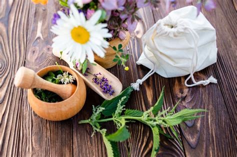 schéma prípravy bylinného odvaru alebo čaju pre psa