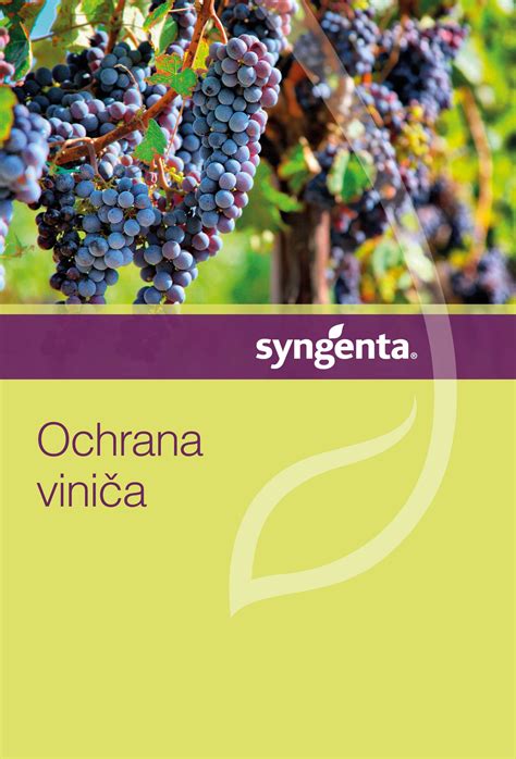 Ochrana viniča agrovláknom