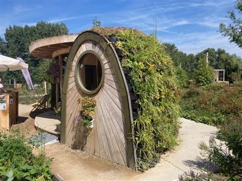 Záhradný dizajn s rôznymi vždyzelenými kríkmi