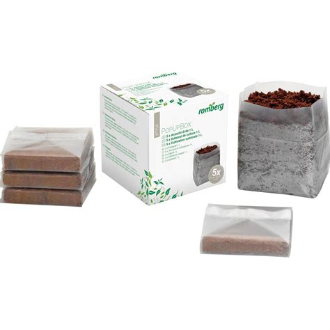 Debnička s naklíčenými zemiakmi pripravená na výsadbu