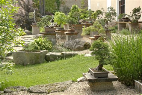 Ukážka rôznych druhov bonsajových substrátov v nádobách