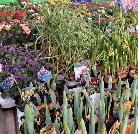 Ilustračné foto rôznych druhov substrátov v záhradkárstve