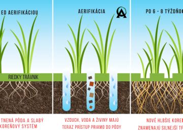 Vizualizácia procesu prípravy pôdy pre sejbu trávnika