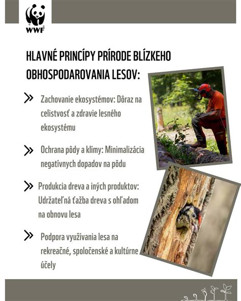 Schéma znázorňujúca štruktúru prírode blízkeho lesa
