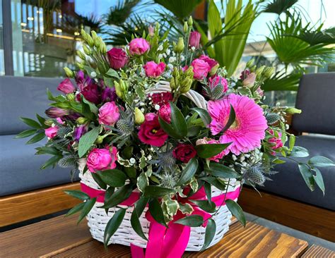 Aranžmán rôznych druhov Aeonium v kvetináčoch