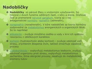 Ilustrácia drene nadobličiek s katecholamínmi