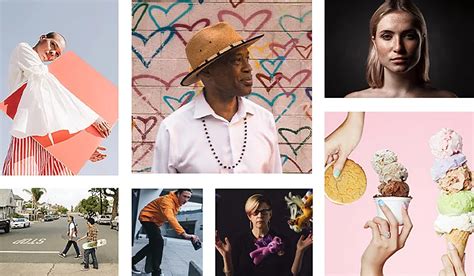 Koláž rôznych druhov juky