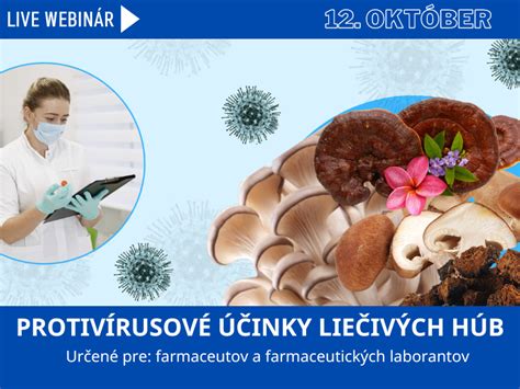 ilustračné foto rôznych liečivých húb