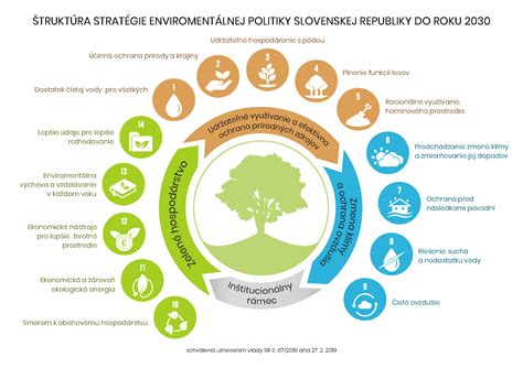 infografika nutričných hodnôt a liečivých látok v hubách