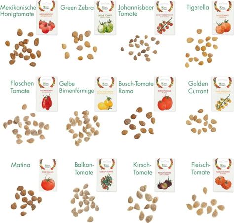 Ilustrácia výsevu semien rajčiakov do sadbovača.