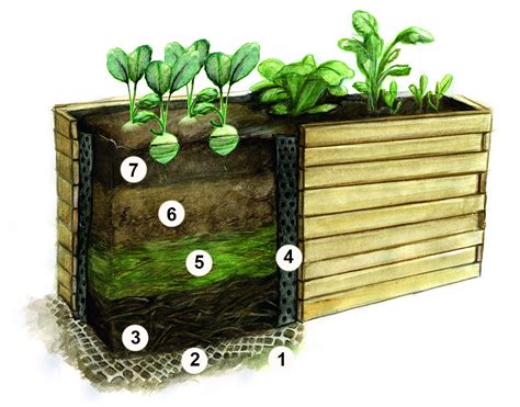 Schéma vrstvenia materiálu vo vyvýšenom záhone: drenáž, organický odpad, kompost a záhradná zemina