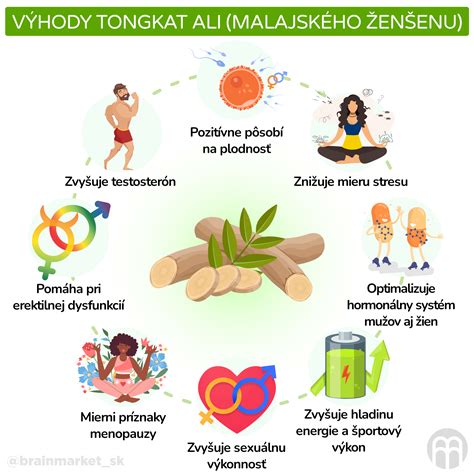 infografika s vývojom koreňa ženšenu v priebehu rokov