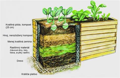 Schéma vrstvenia substrátu a drenáže v kvetináči pre citrusy