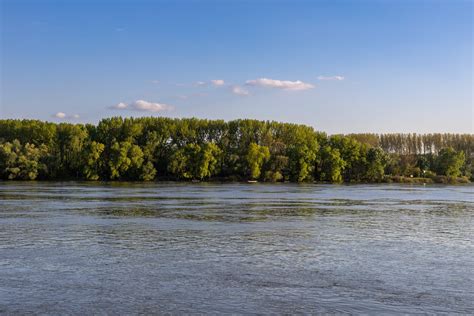 fotografia miesta nehody v Nitre, rieka, stromy