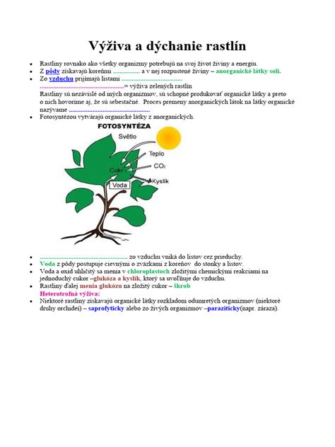 Schéma porovnávajúca fotosyntézu a dýchanie rastlín