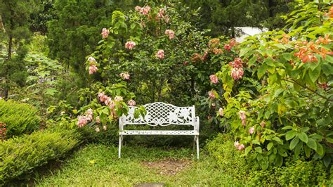 Schéma znázorňujúca rozdelenie záhrady na zóny s kvapkovou závlahou a postrekovačmi