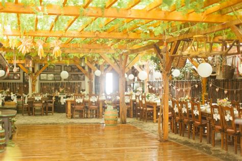 fotografia vinohradu s ovcami pasúcimi sa pod viničom