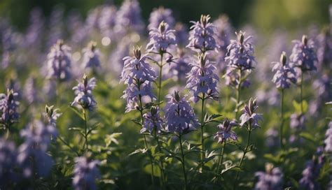 Ilustrácia rôznych druhov zvončekov s ich charakteristickými kvetmi a listami