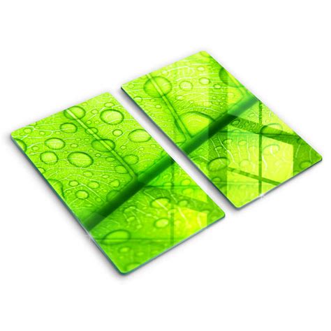 Detailný záber na list Anubiasu s čiernou riasou