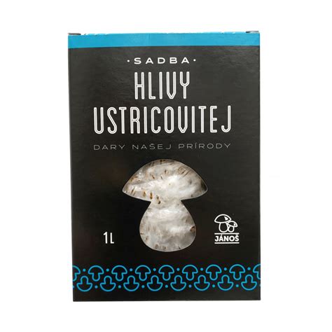 Schéma životného cyklu hlivy ustricovitej: od substrátu cez mycélium až po vytvorenie plodníc v trsoch.