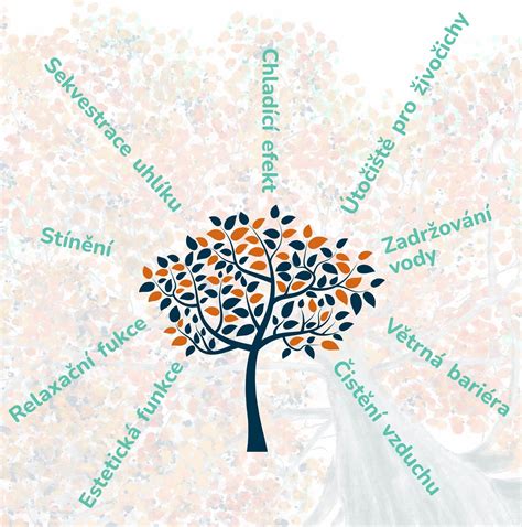 Detailná schéma života drevára fialového: od vyhĺbenia chodbičky v dreve až po vznik jednotlivých hniezdnych komôrok.