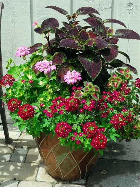 Fotografia farebne upraveného hrobu s kombinovanými výsadbami