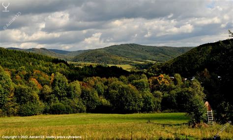 fotka vinohradu na jeseň