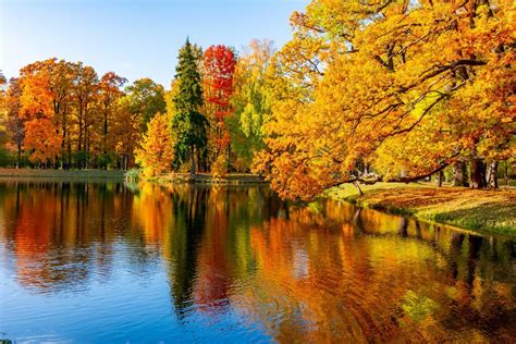 Tematické foto: rozkvitnutá krajina s alejou stromov