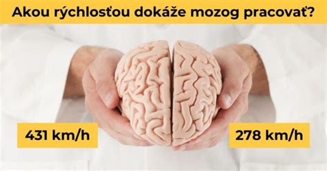 Mapa Brodmannových oblastí v ľudskom mozgu